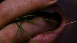 Грозовой перевал кадр 12 онлайн-кинотеатр Эмбликс