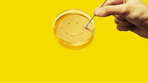 Из многих кадр 10 на Эмбликс в Hd