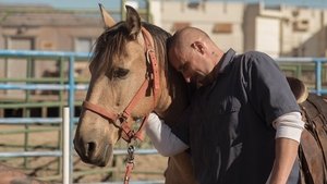 Мустанг кадр 10 онлайн-кинотеатр Эмбликс