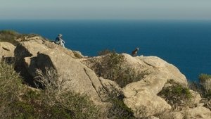 Могиканин кадр 8 онлайн-кинотеатр Эмбликс