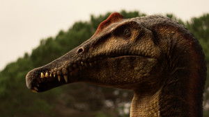 Прогулки с динозаврами кадр 15 на Эмбликс в Hd