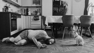 Жизнь - сука кадр 1 онлайн-кинотеатр Эмбликс