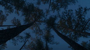 Всё заканчивается кадр 6 онлайн-кинотеатр Эмбликс