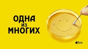Из многих кадр 17 на Эмбликс в Hd