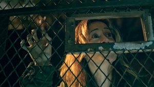 Шелби Оукс. Город-призрак кадр 24 онлайн-кинотеатр Эмбликс