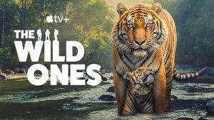 В мире дикой природы кадр 5 на Эмбликс в Hd