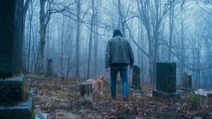Глазами пса кадр 8 онлайн-кинотеатр Эмбликс