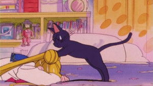 Красавица-воин Сейлор Мун кадр 12 online emblix