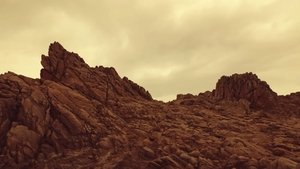 Последний фламинго красного летнего заката кадр 7 онлайн-кинотеатр Эмбликс
