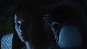 Примат кадр 8 онлайн-кинотеатр Эмбликс