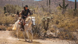 Длинные тени кадр 11 онлайн-кинотеатр Эмбликс