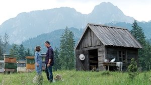 Любовь, сладкая как мед кадр 4 онлайн-кинотеатр Эмбликс