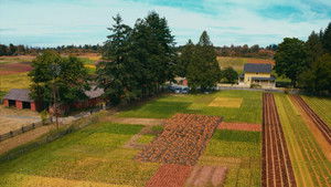 Тыквоголовый кадр 16 онлайн-кинотеатр Эмбликс