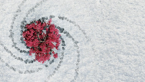 Игра престолов кадр 387 на Эмбликс в Hd