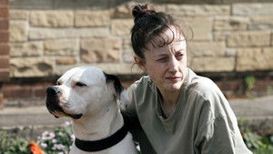 Стрекоза кадр 5 онлайн-кинотеатр Эмбликс