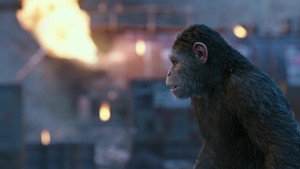 Планета обезьян: Война кадр 38 онлайн-кинотеатр Эмбликс