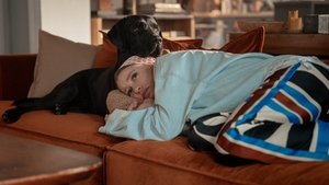 Спасибо, следующий! кадр 10 на Эмбликс в Hd
