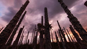 28 лет спустя: Часть II. Храм костей кадр 8 онлайн-кинотеатр Эмбликс