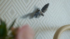 Возвращение в Сайлент Хилл кадр 100 онлайн-кинотеатр Эмбликс