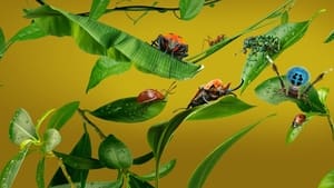 Настоящая жизнь жука кадр 8