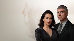 Красные бутоны кадр 3 на Эмбликс в Hd