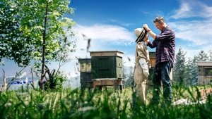 Любовь, сладкая как мед кадр 1 онлайн-кинотеатр Эмбликс