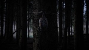 Бэмби: Лесной кошмар кадр 8 онлайн-кинотеатр Эмбликс