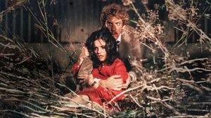 Вторжение похитителей тел кадр 5 онлайн-кинотеатр Эмбликс