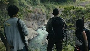 Алиса в Пограничье кадр 25 на Эмбликс в Hd