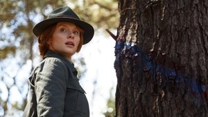 Пит и его дракон кадр 17 онлайн-кинотеатр Эмбликс