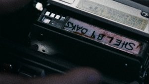 Шелби Оукс. Город-призрак кадр 33 онлайн-кинотеатр Эмбликс