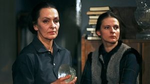 Охота на мух кадр 19 онлайн-кинотеатр Эмбликс