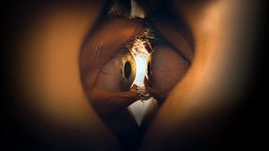 Одно целое кадр 11 онлайн-кинотеатр Эмбликс