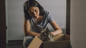 Кошка с дефектом кадр 6 онлайн-кинотеатр Эмбликс