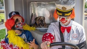 Секретный агент Динглдорф и его верный пес Сплэт кадр 2 онлайн-кинотеатр Эмбликс