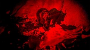 Гризли кадр 5 онлайн-кинотеатр Эмбликс