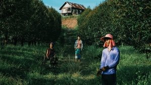 Терновый рай кадр 1 онлайн-кинотеатр Эмбликс