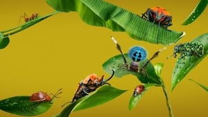 Настоящая жизнь жука кадр 1