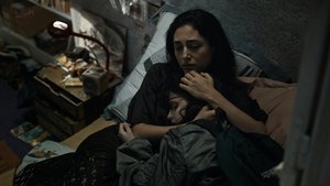 Альфа кадр 12 онлайн-кинотеатр Эмбликс