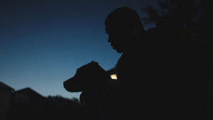 Молодой Король кадр 3 онлайн-кинотеатр Эмбликс