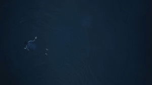 Я ругаюсь кадр 10 онлайн-кинотеатр Эмбликс