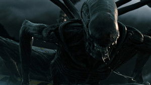 Чужой: Завет кадр 82 онлайн-кинотеатр Эмбликс