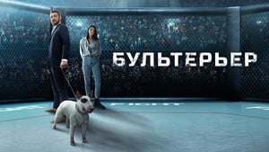 Бультерьер кадр 2 онлайн-кинотеатр Эмбликс