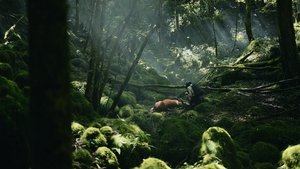 Алиса в Пограничье кадр 41 на Эмбликс в Hd