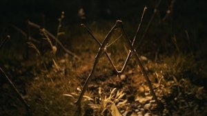 Шелби Оукс. Город-призрак кадр 10 онлайн-кинотеатр Эмбликс