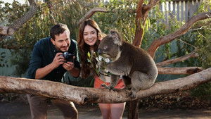 Любовь в Мельбурне кадр 2 онлайн-кинотеатр Эмбликс