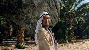 Паспорт кадр 23 онлайн-кинотеатр Эмбликс