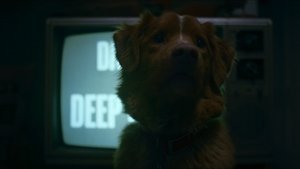 Глазами пса кадр 22 онлайн-кинотеатр Эмбликс