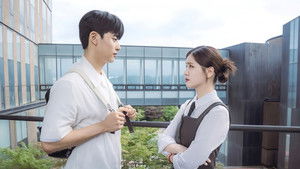 Брендинг в Сонсу кадр 5 на Эмбликс в Hd