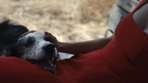 Музей невинности кадр 11 на Эмбликс в Hd